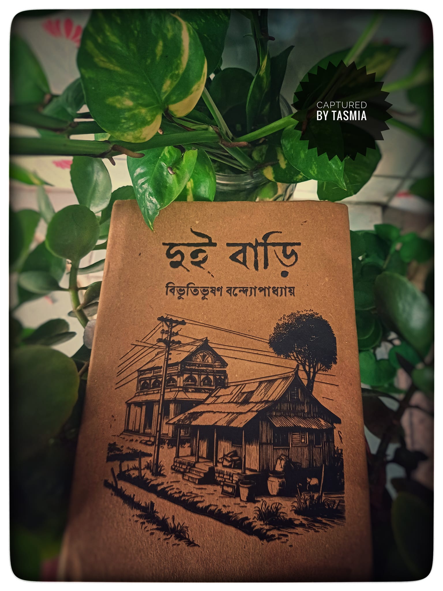 দুই বাড়ি_img_1