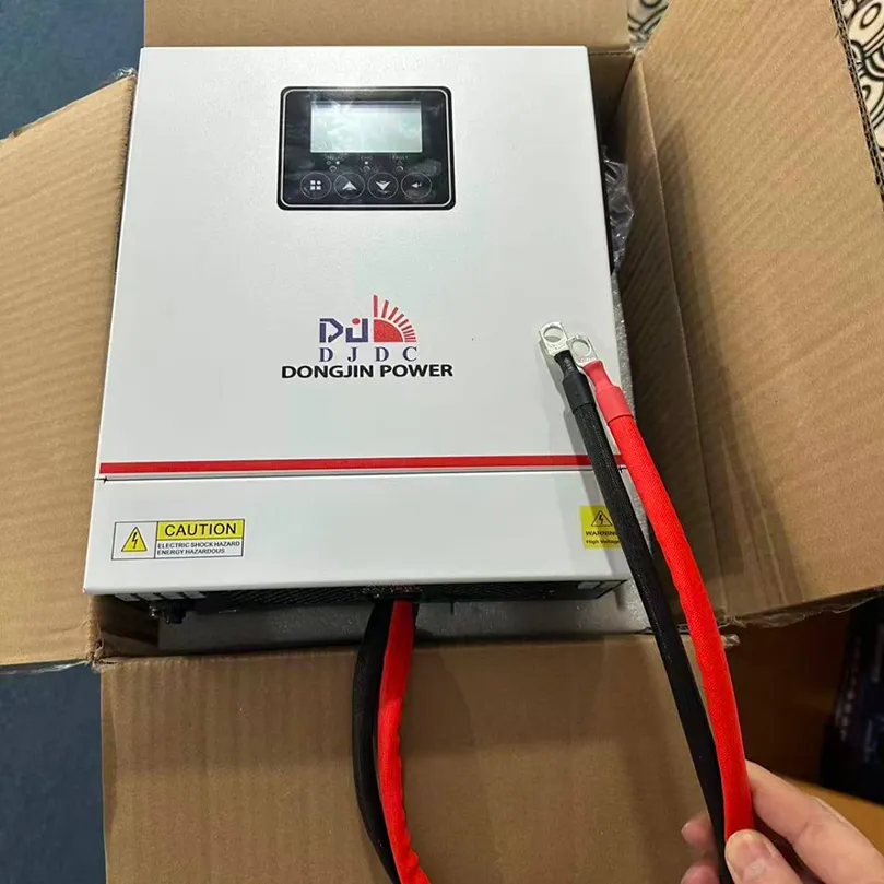 DJDC DJ-1000 Solar Inverter 800W Pure Sine Wave DC to AC Power Converter_img_2