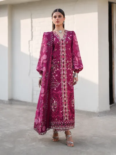 Unstitch Embroidery Dress_img_1