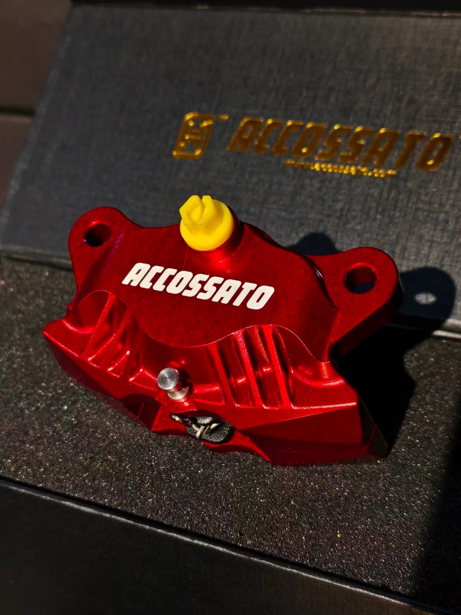 ACCOSSATO PZ016 REAR CALIPER_img_1