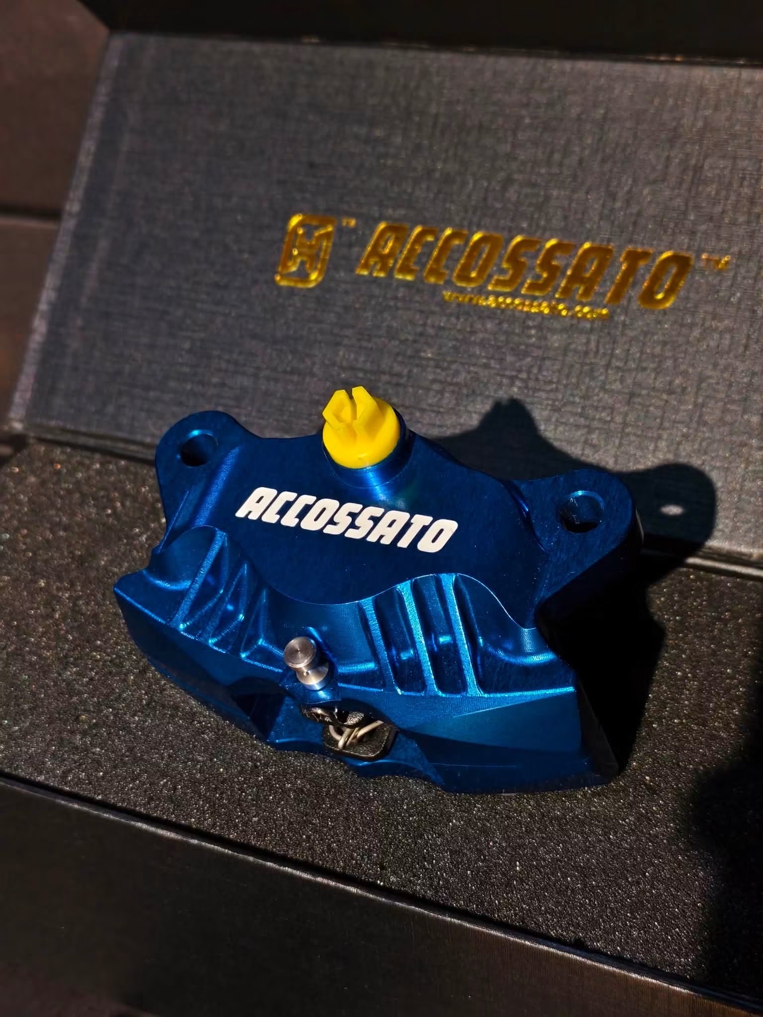 ACCOSSATO PZ016 REAR CALIPER_img_3