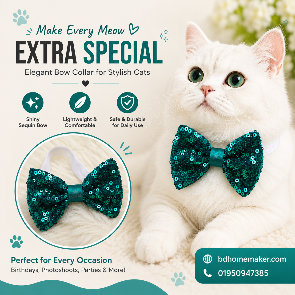Cat bow_img_0