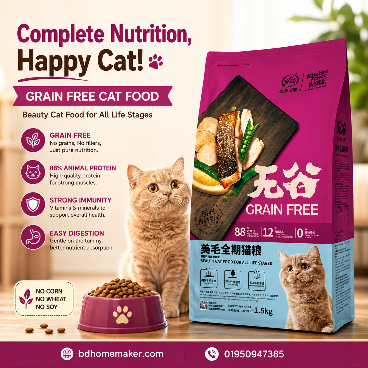 kitchen flavour free cat food with real meat cubes for baby kitten and kitten_img_0