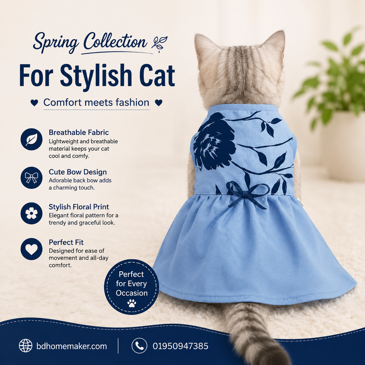 1.7 kg cat frock_img_0