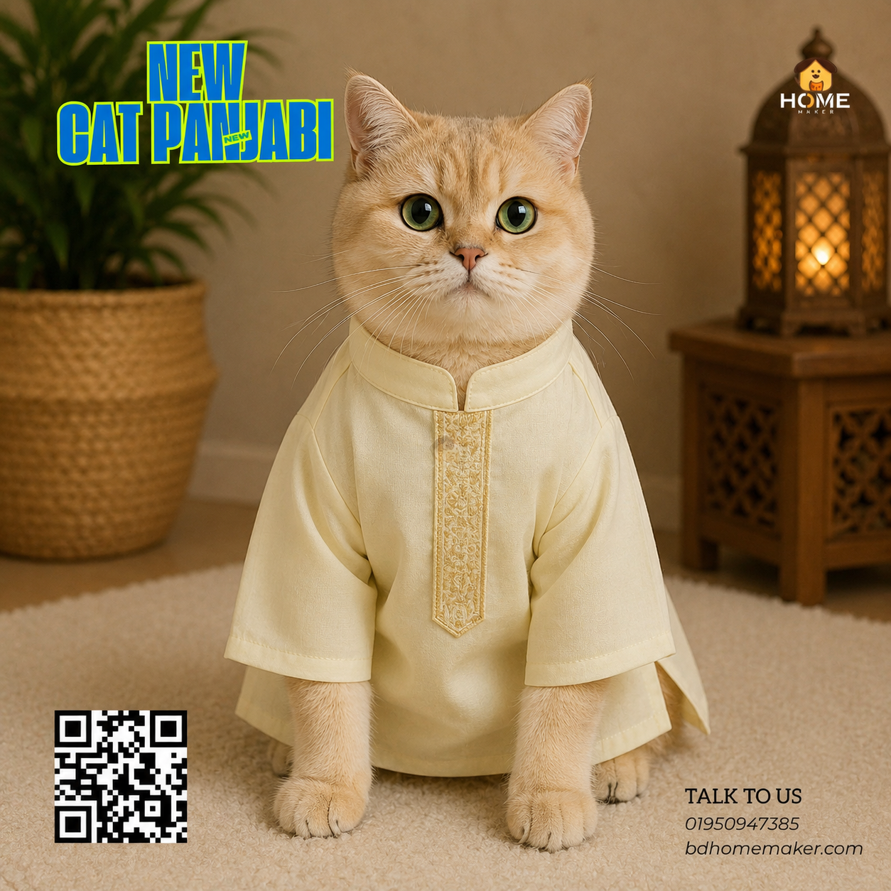 Cat panjabi (5kg)_img_0