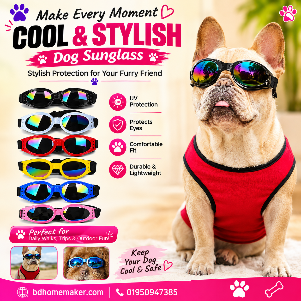 Dog Sunglass_img_0