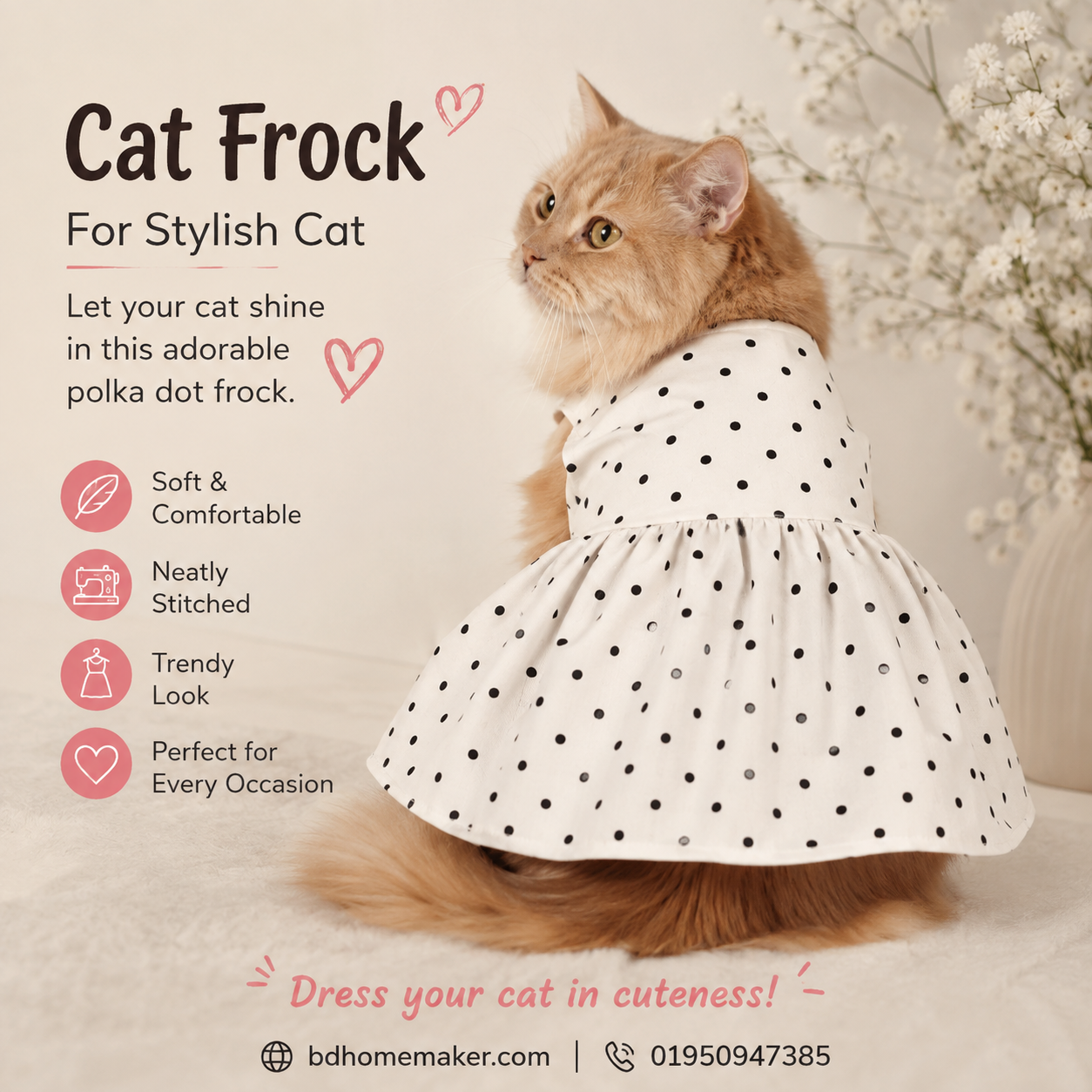 Cat frock (2,4 kg)_img_0