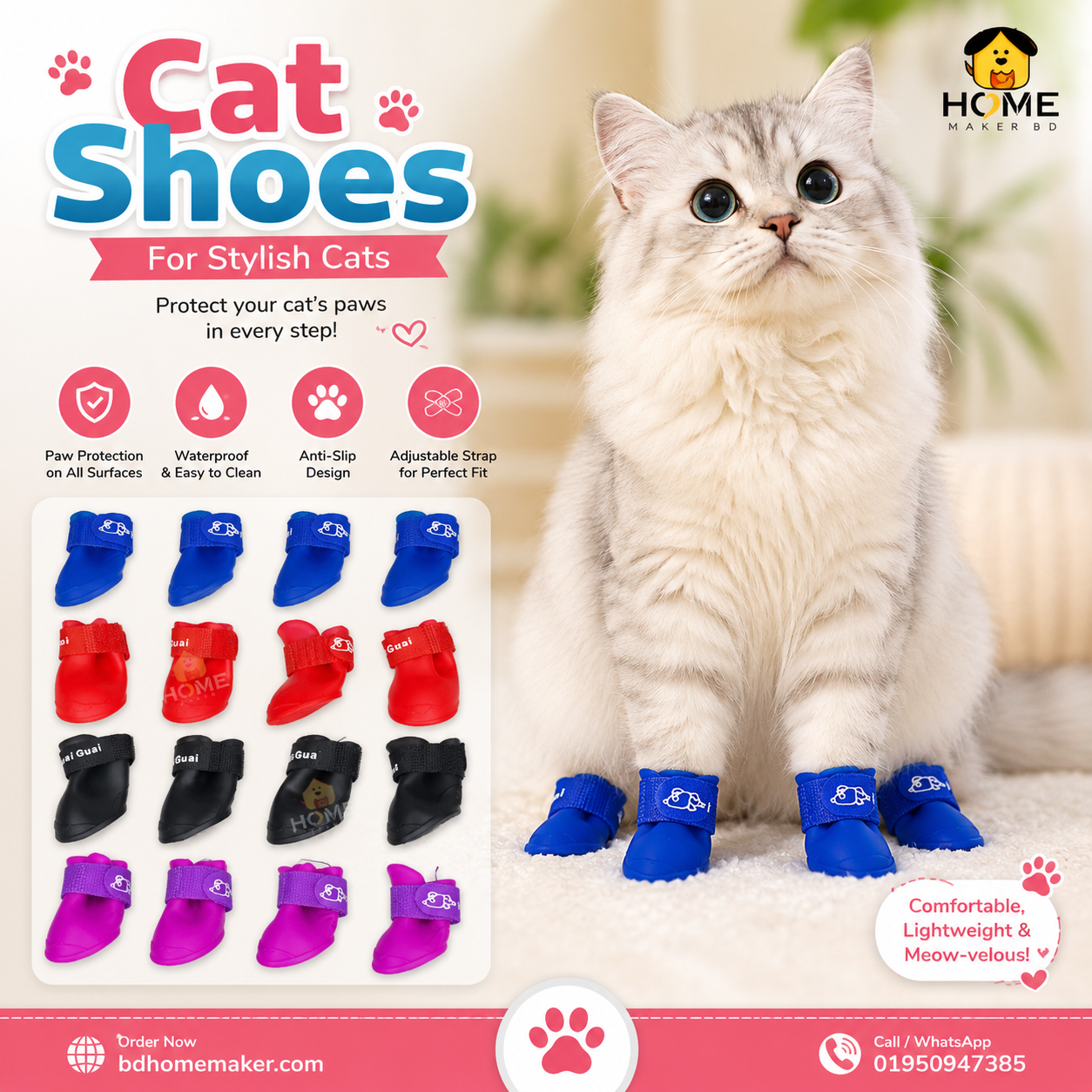 Cat shoe_img_0