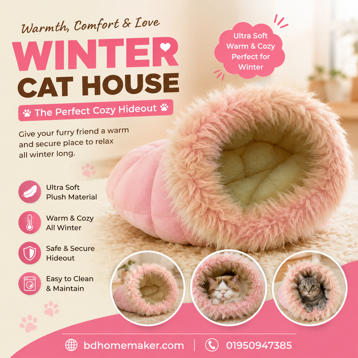 Cat house_img_0
