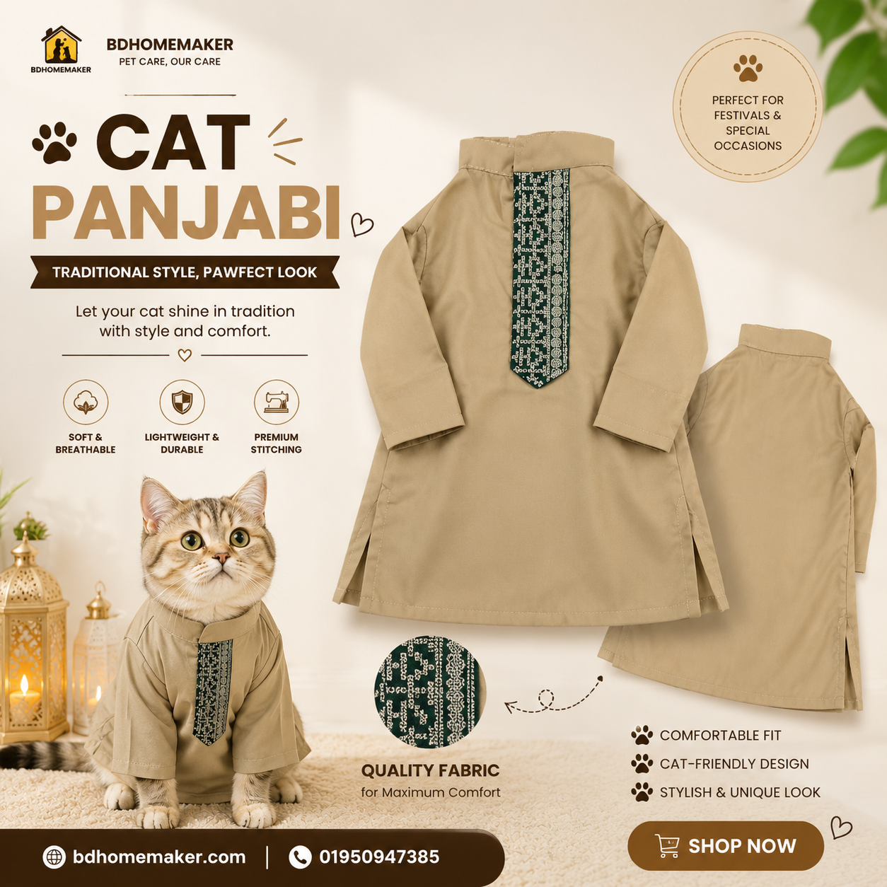 2.3 kg cat panjabi_img_0