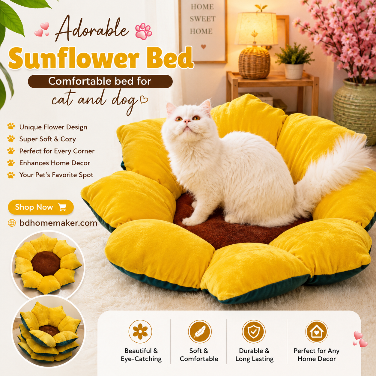 Sunflower bed_img_0