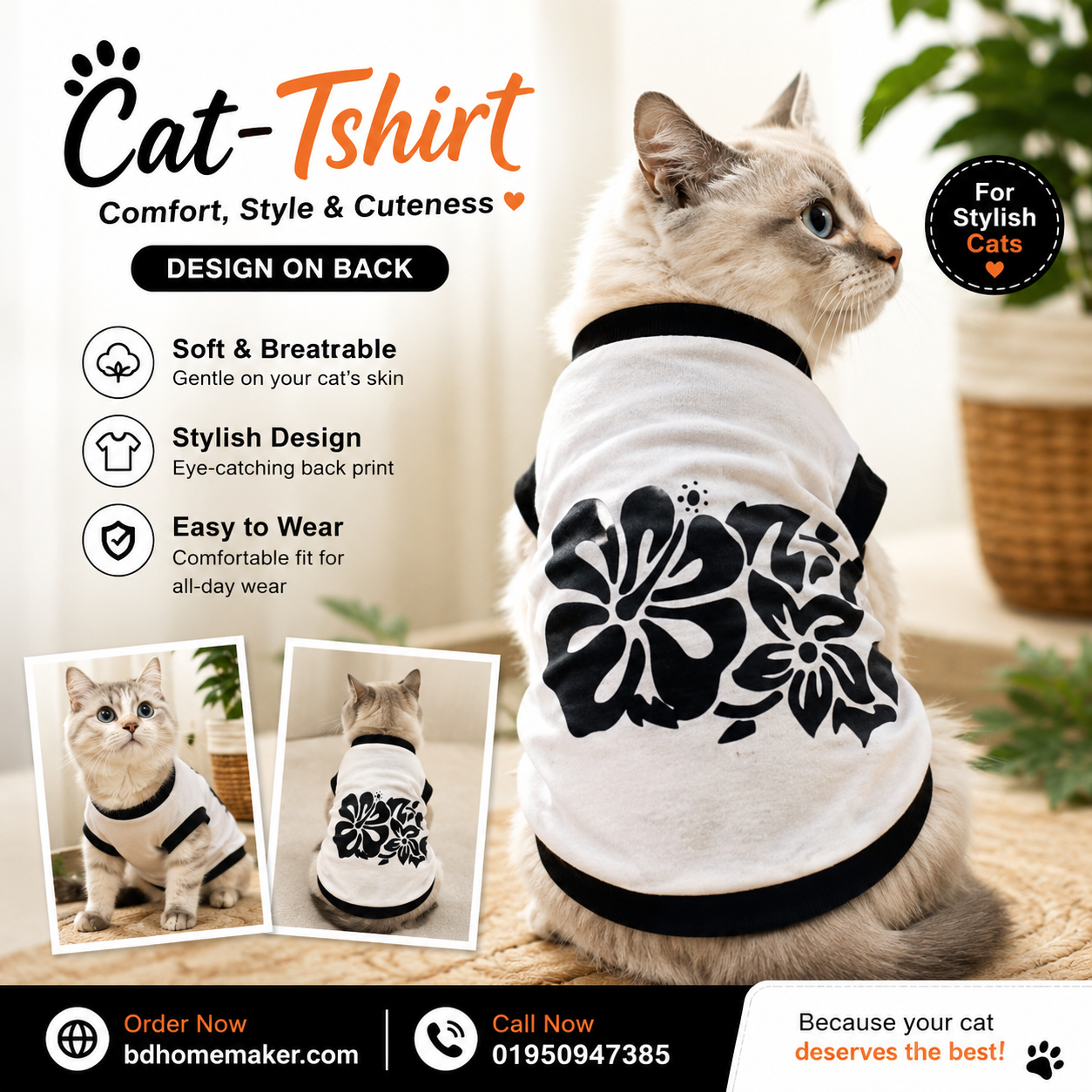 kitten t-shirt (1.4 kg)_img_0