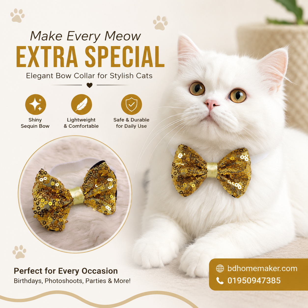 Cat bow_img_0
