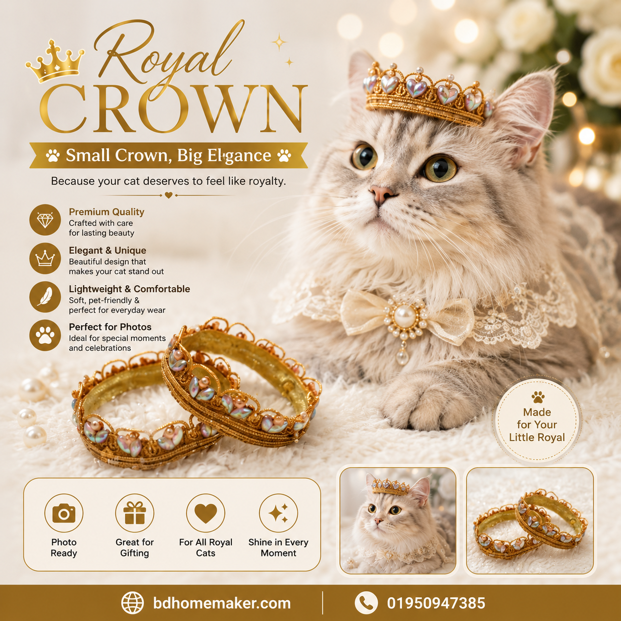 cat crown_img_0