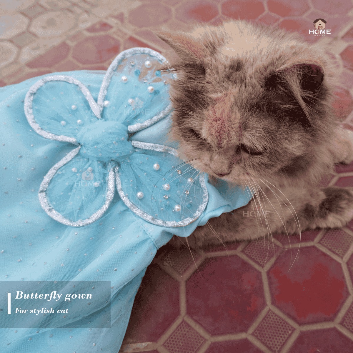 Cat butterfly gown (4 kg)_img_1