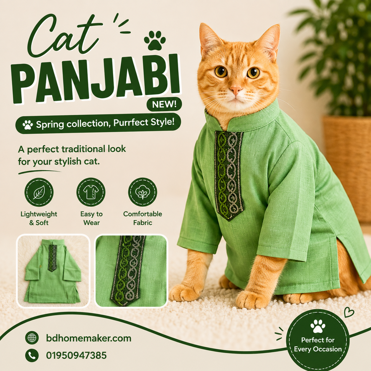 2.5kg cat panjabi_img_0