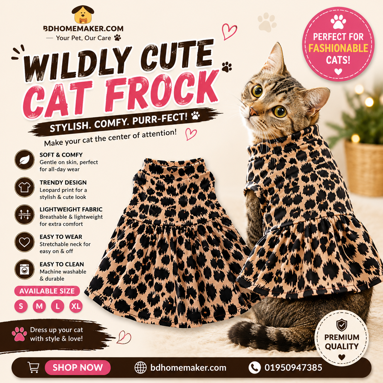 2.3 kg Cat feock_img_0