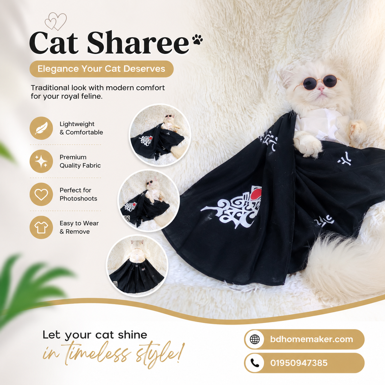 Cat sharee_img_0