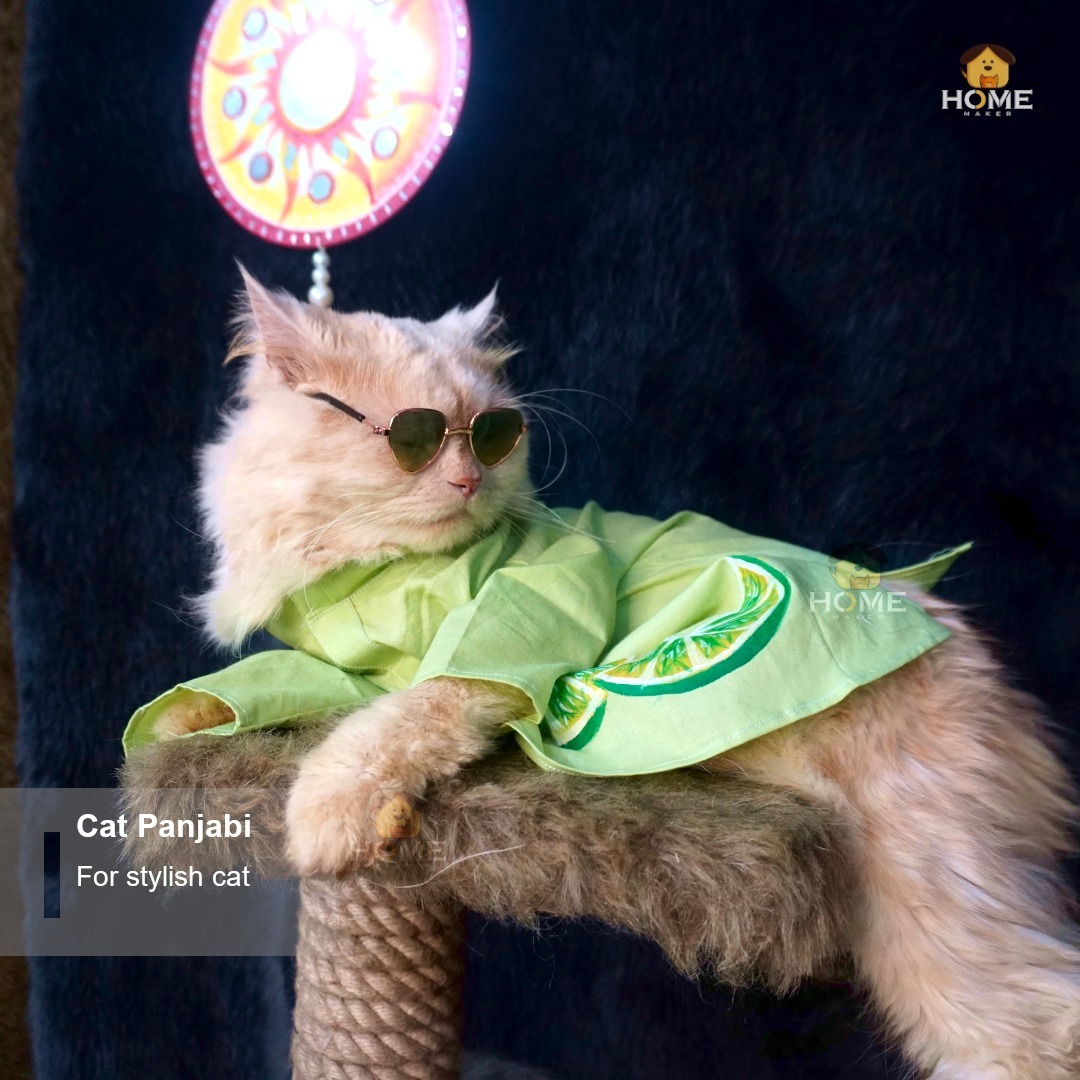 Cat panjabi (2.3 kg)_img_2
