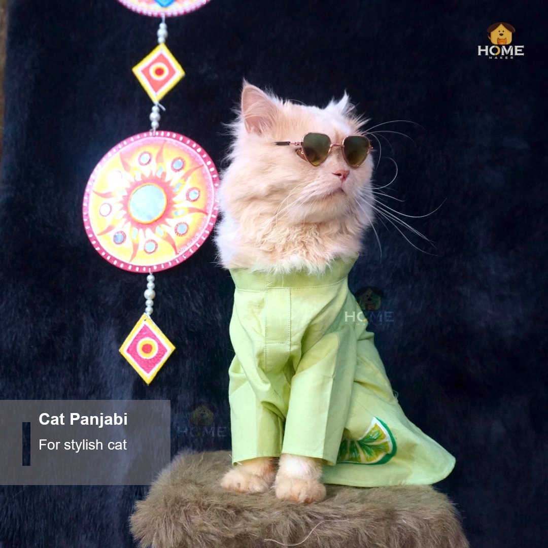 Cat panjabi (2.3 kg)_img_3