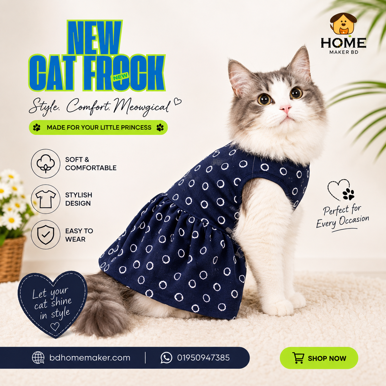 cat frock (4 kg)_img_0