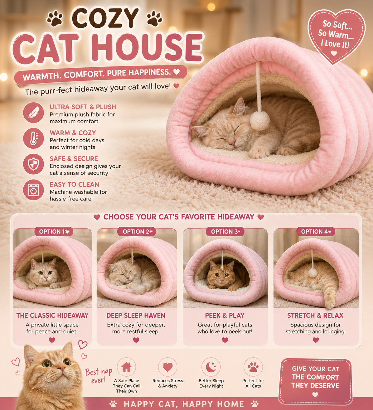 New cat house_img_0