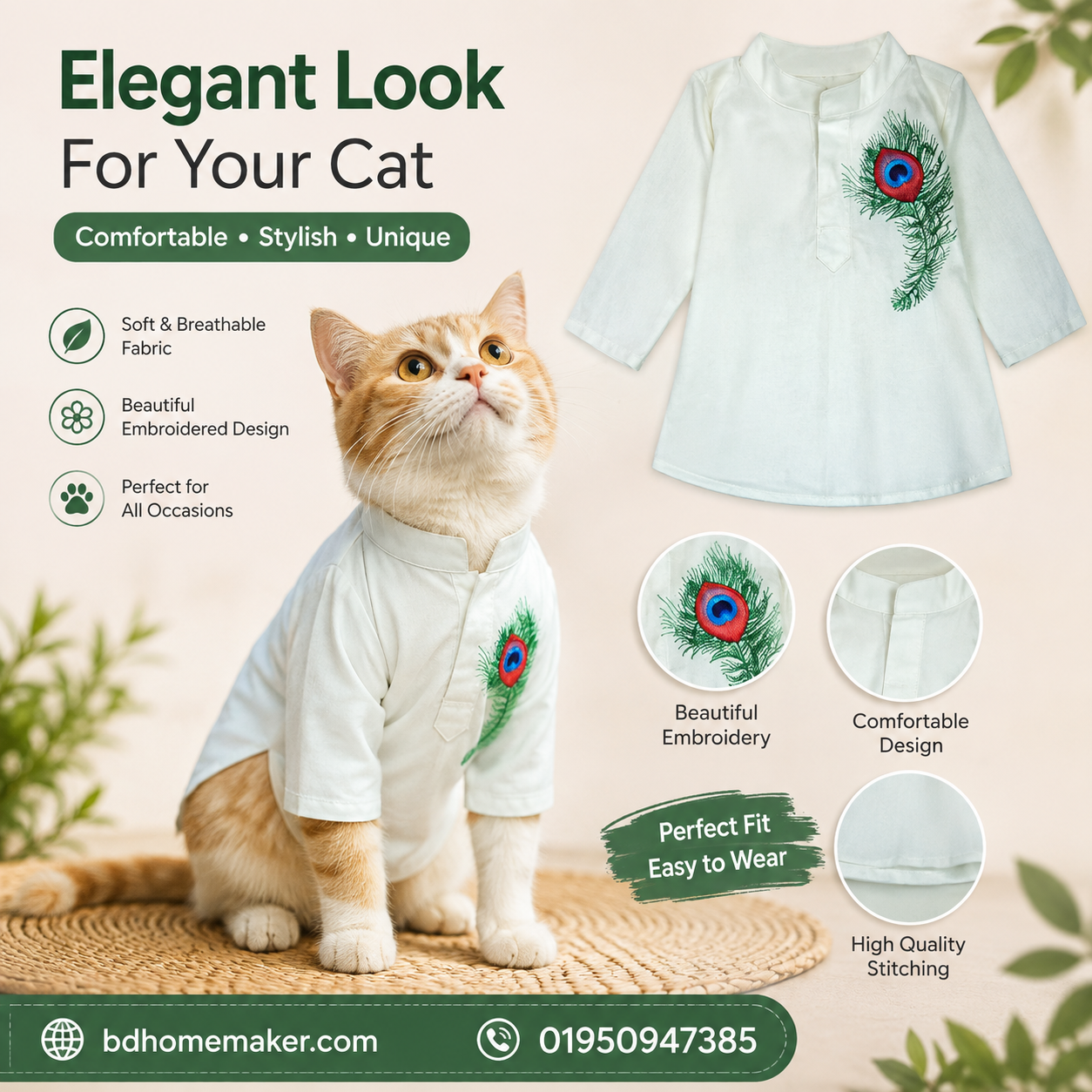 cat panjabi (6 kg)_img_0