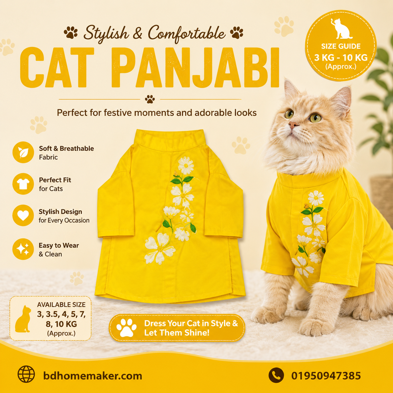 cat panjabi_img_0