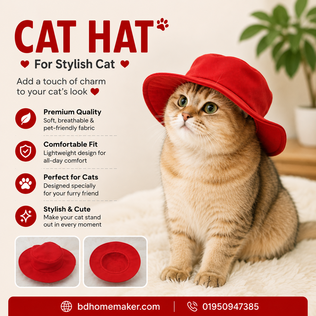 Cat hat_img_0