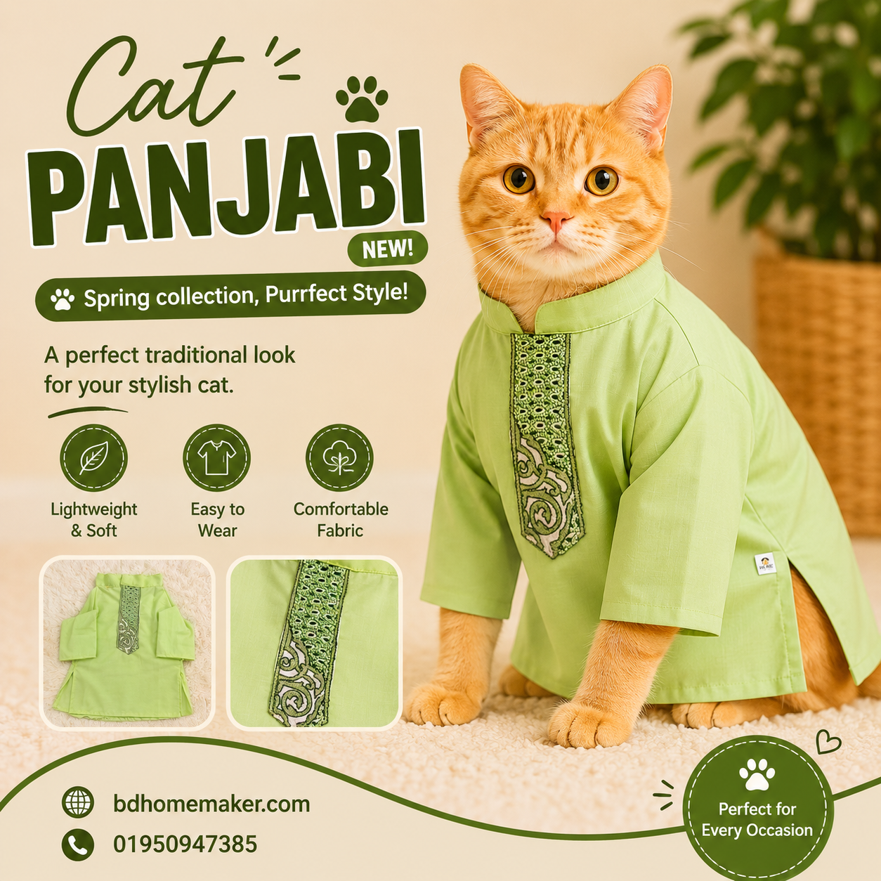 2.5kg cat panjabi_img_0