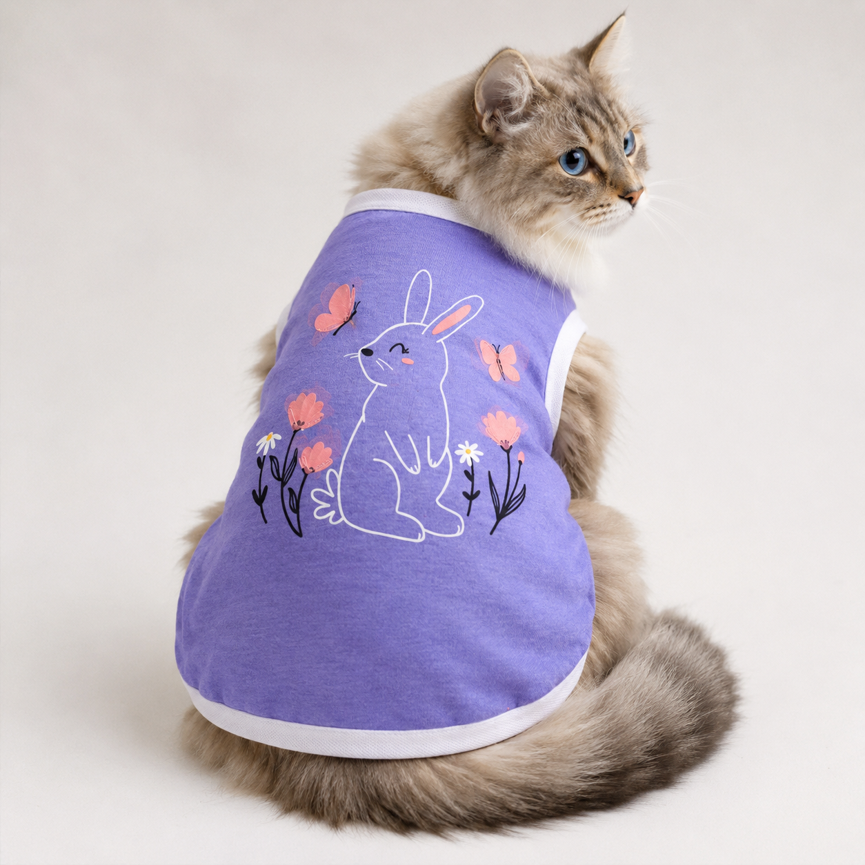 cat t-shirt (3.5,2.5 kg)_img_0