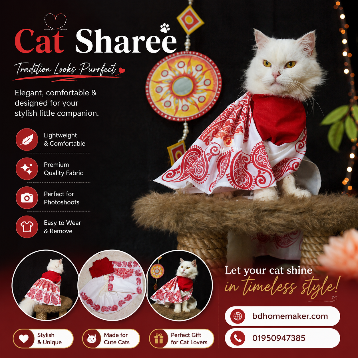 cat sharee_img_0