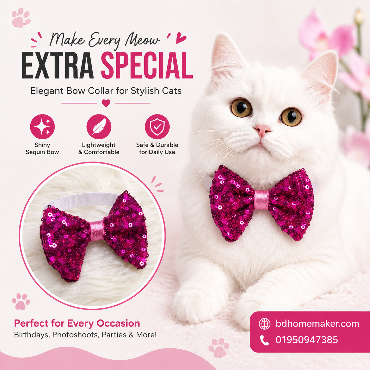 Cat bow_img_0