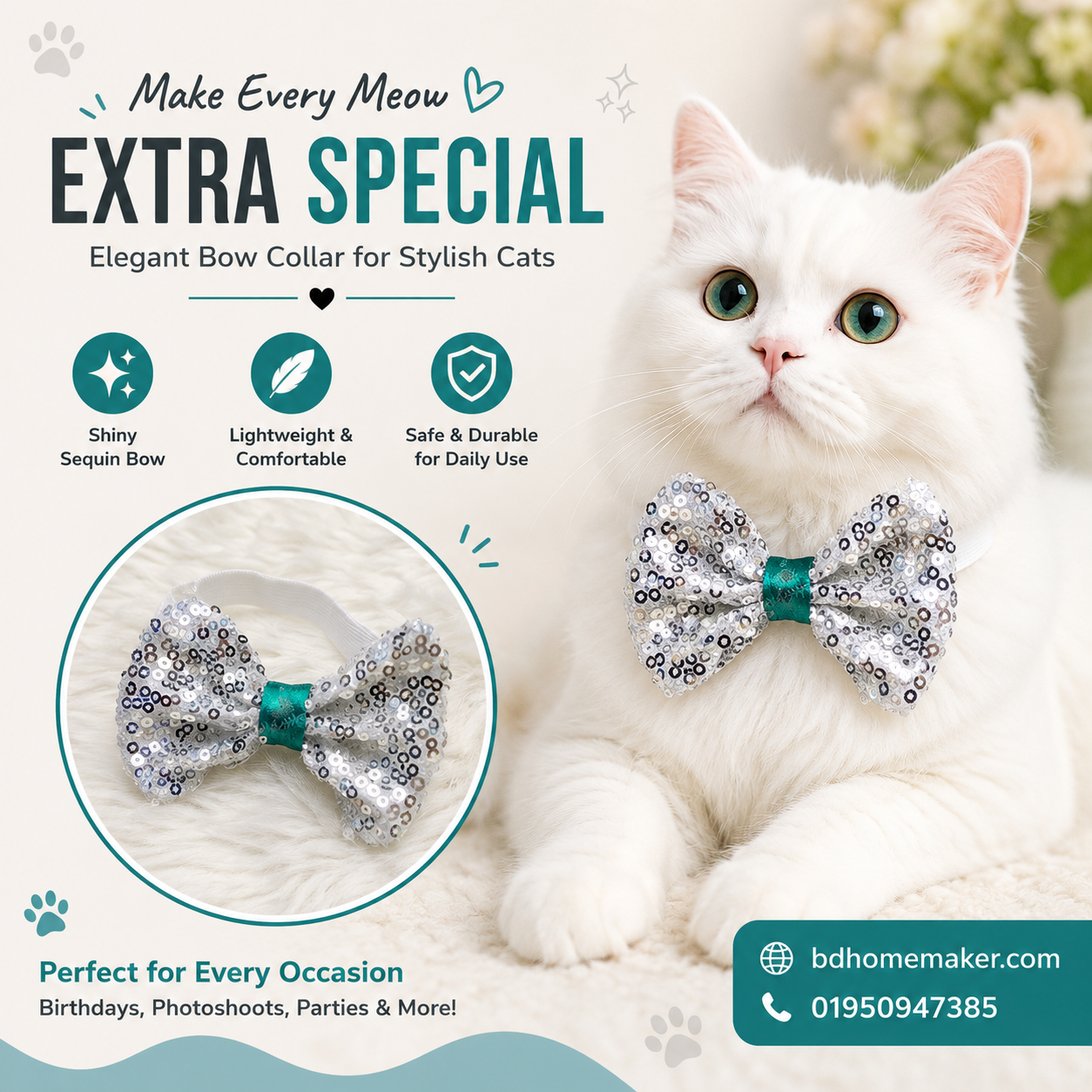 cat bow_img_0