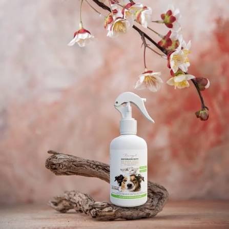 Banglal Waterless bath no rinse flea and tick shampoo for cat 250ml_img_0