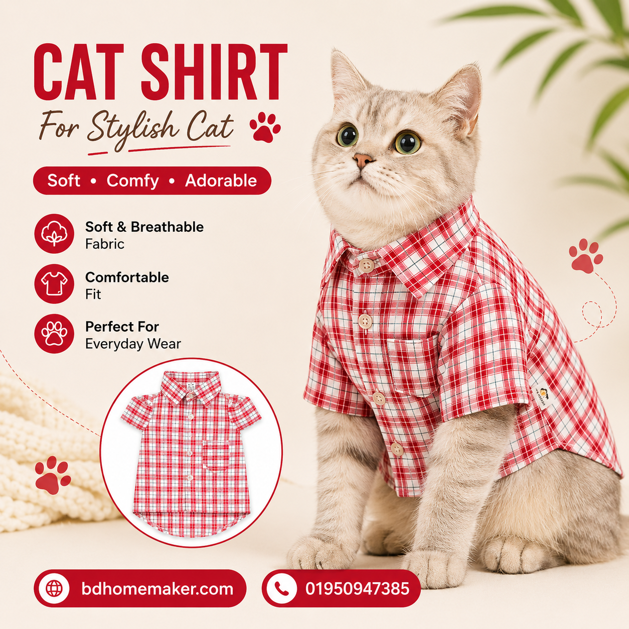 2.5 kg cat shirt_img_0