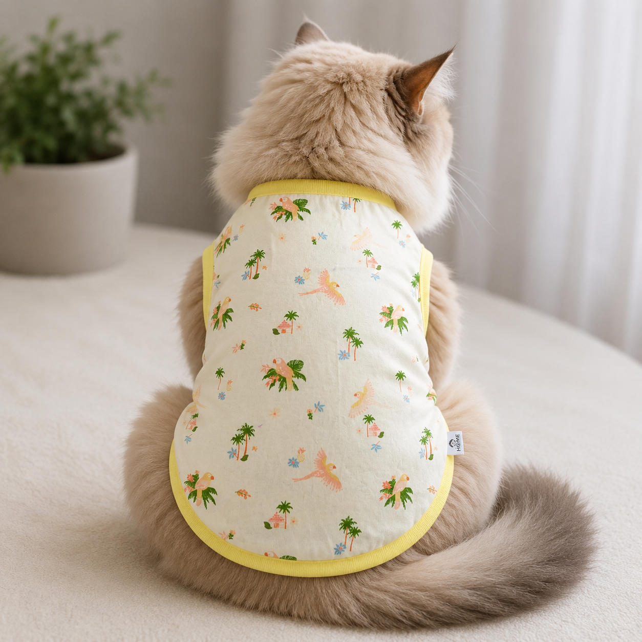 cat t-shirt (9 kg)_img_0