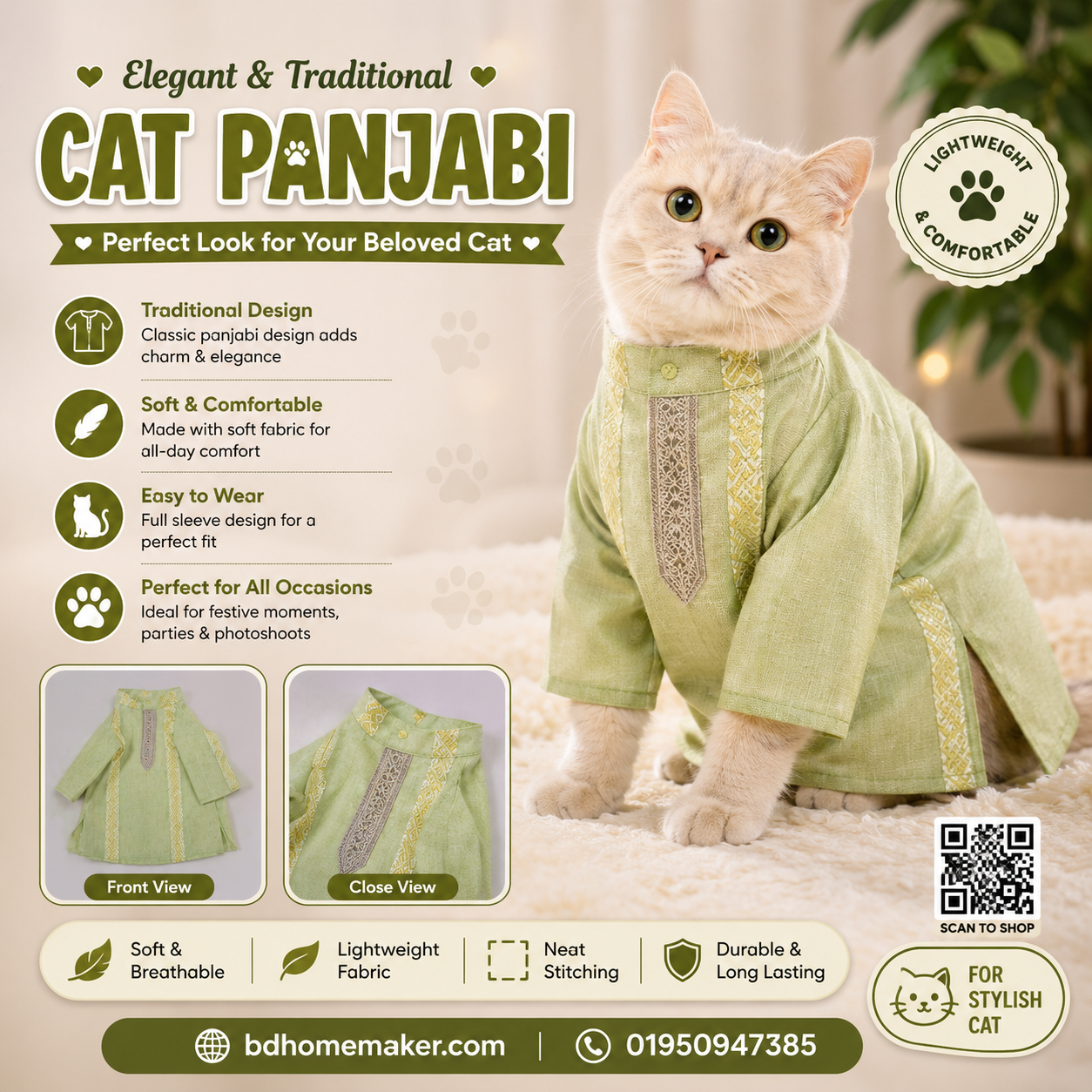 3 kg cat panjabi_img_0