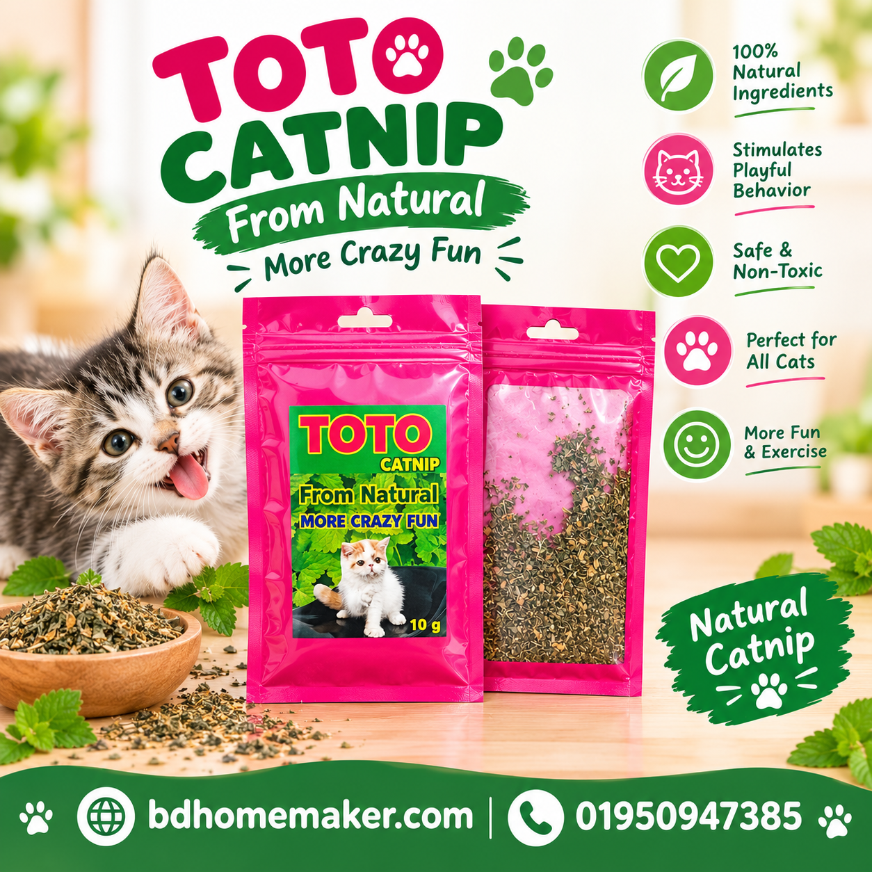 cat nip_img_0