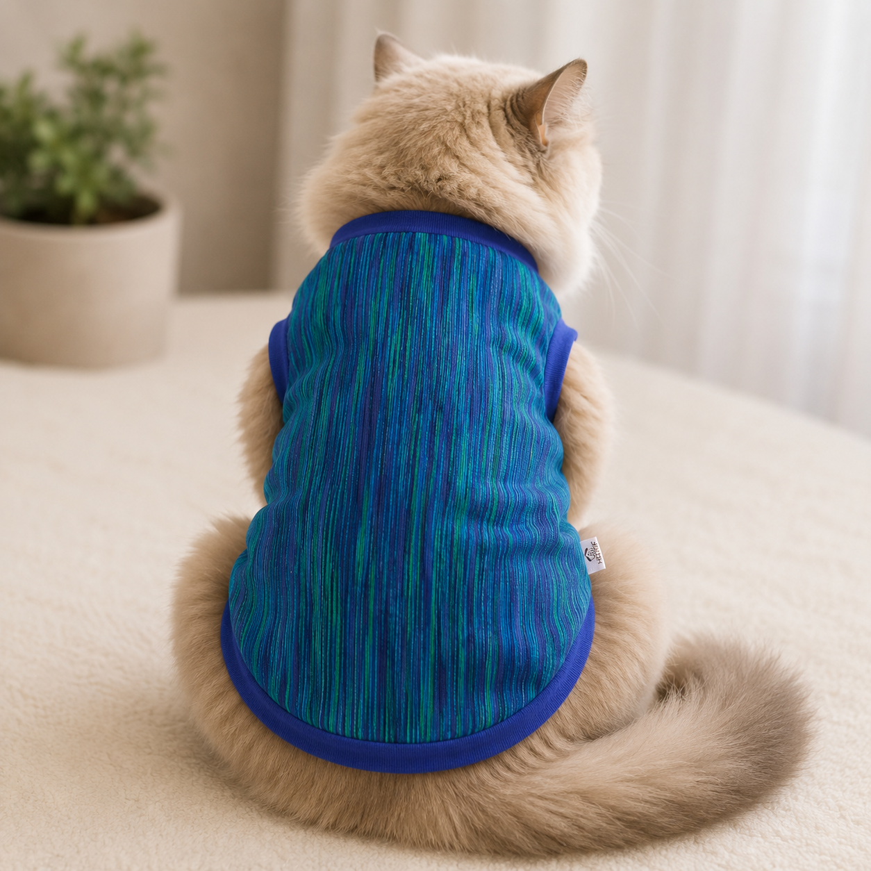 1 kg cat t-shirt (1 kg)_img_0