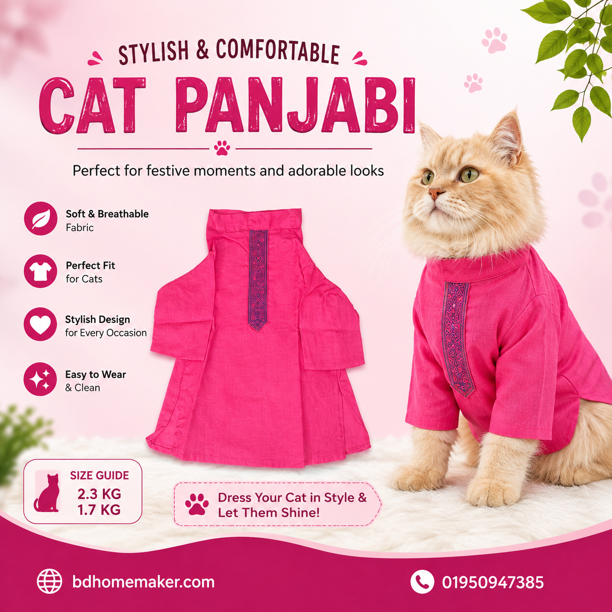 2.3, 1.7 kg cat panjabi_img_0