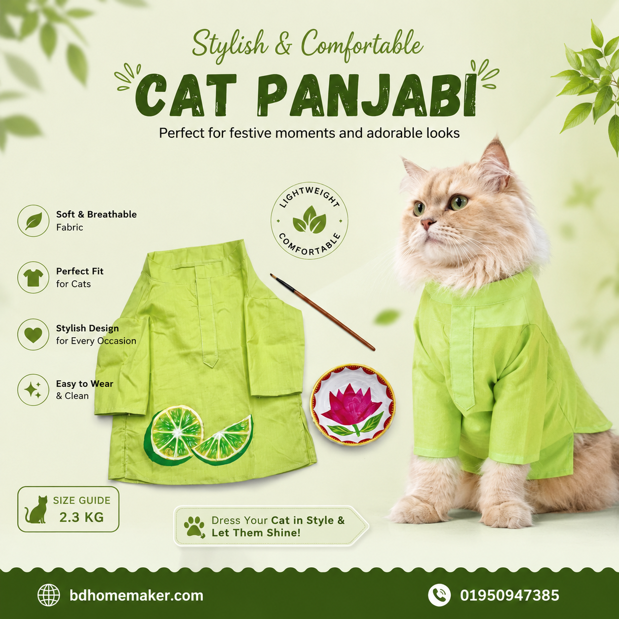 cat panjabi (5 kg)_img_0