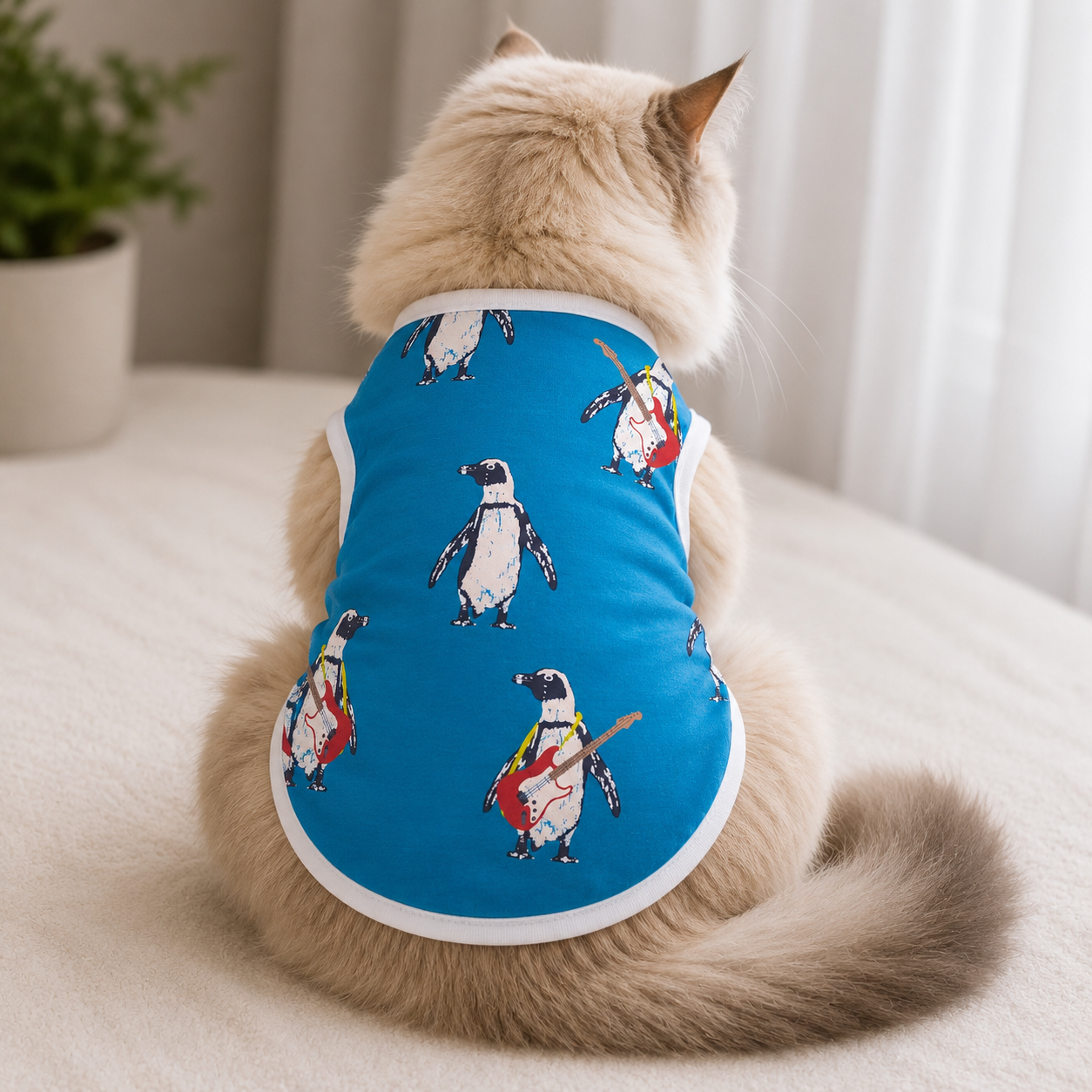 Cat t-shirt (6,2.5,2 kg)_img_0