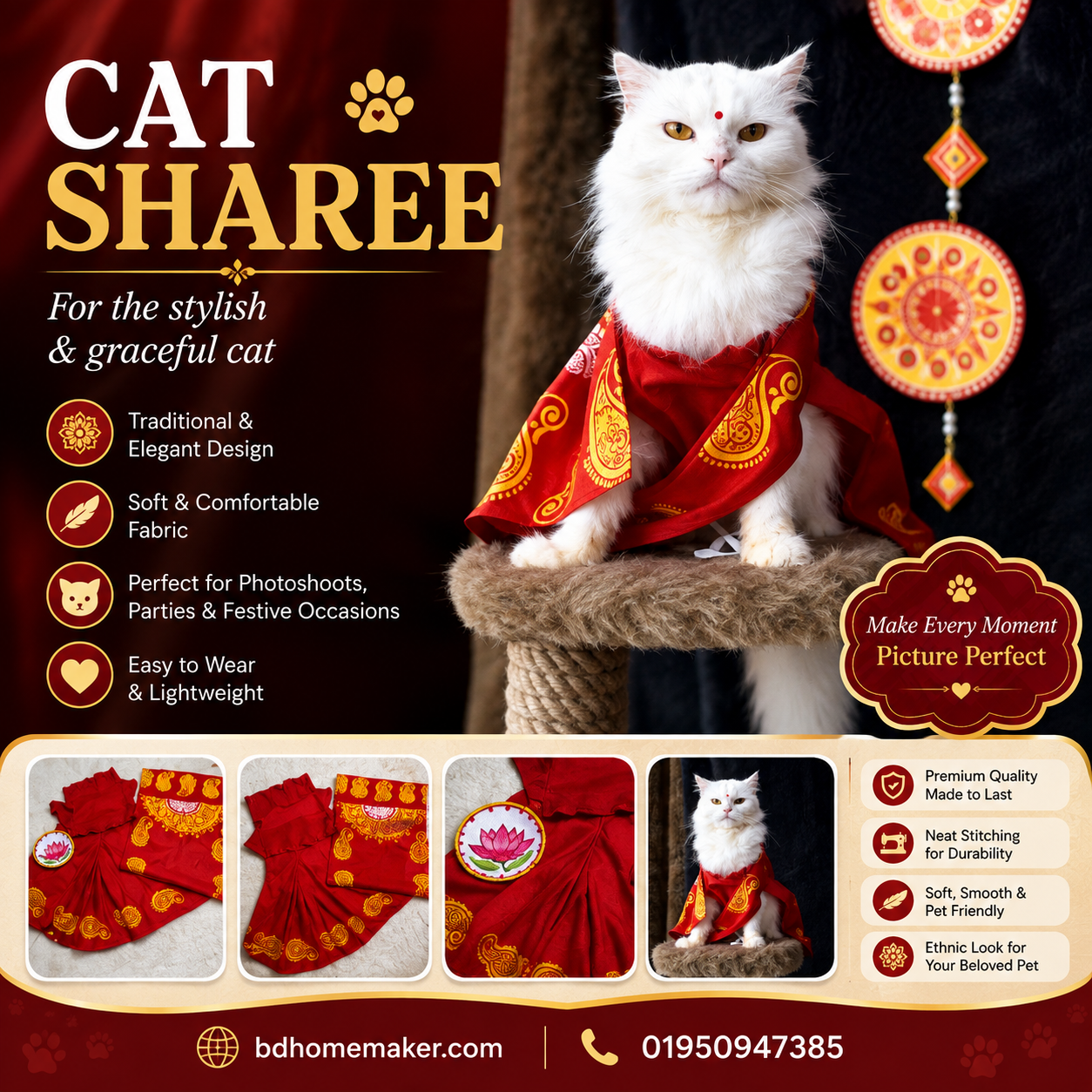 Cat sharee_img_0