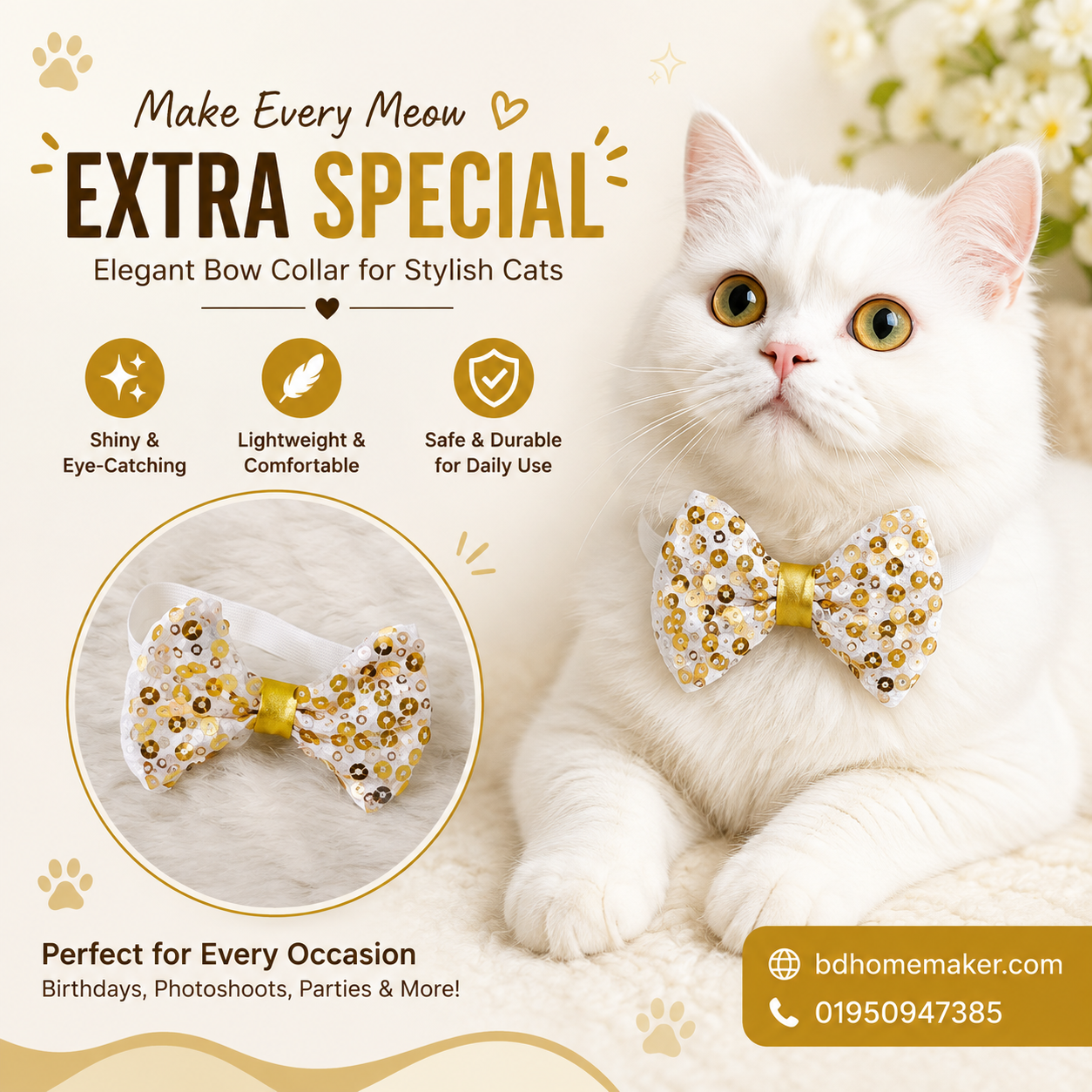 Cat bow_img_0