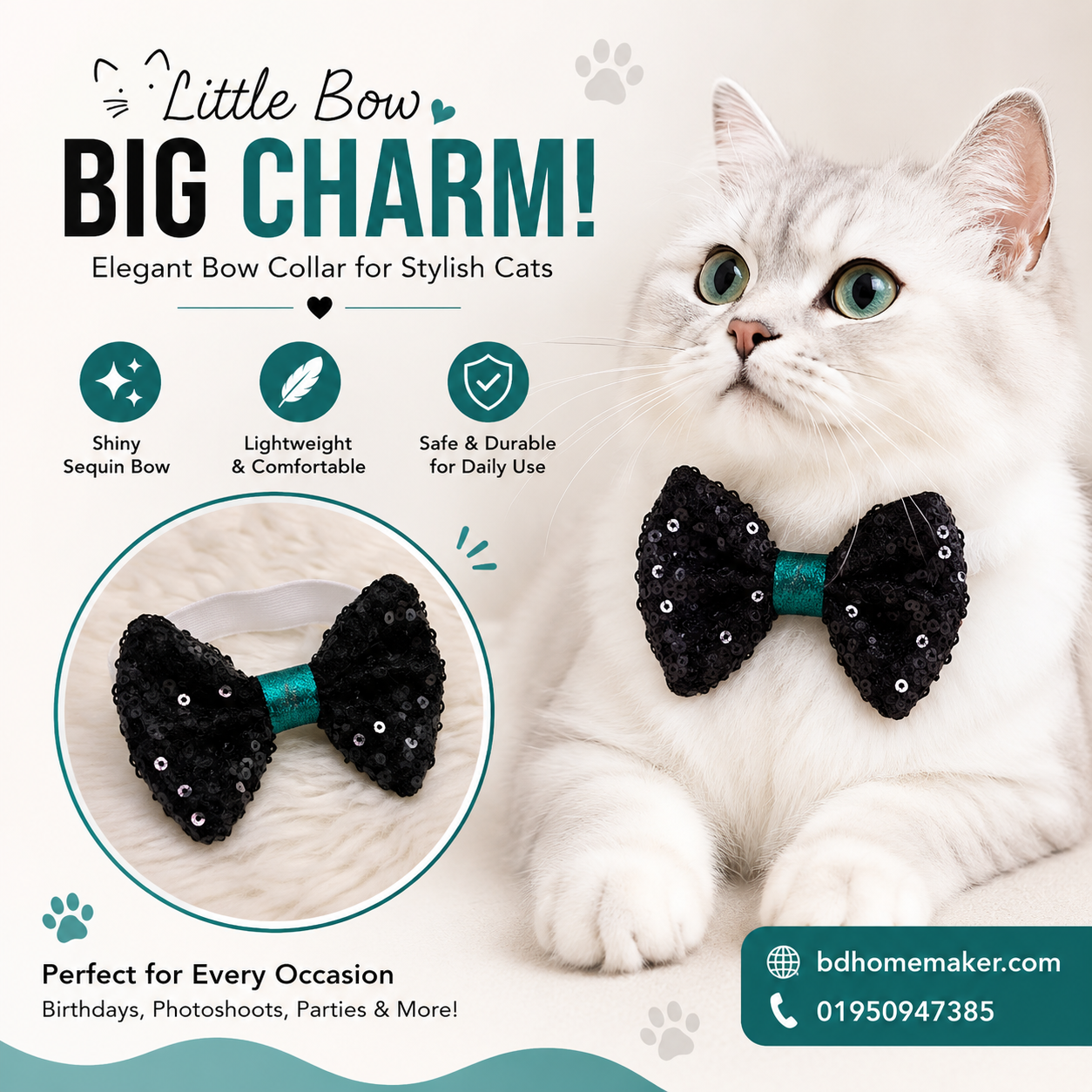 Cat bow_img_0