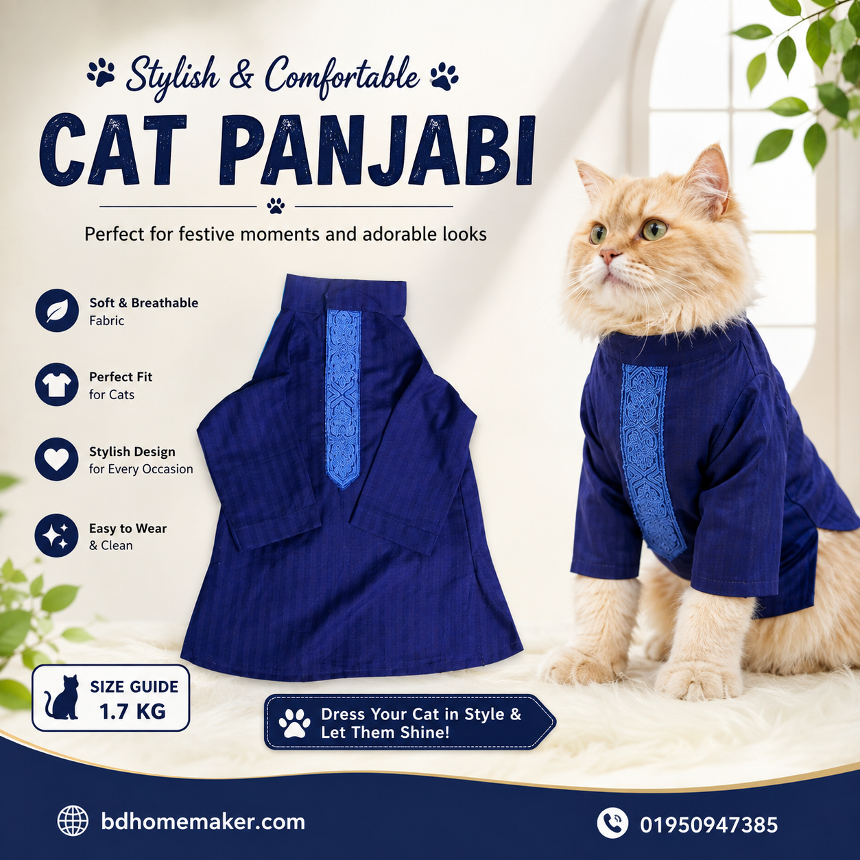 1.7 kg cat panjabi_img_0