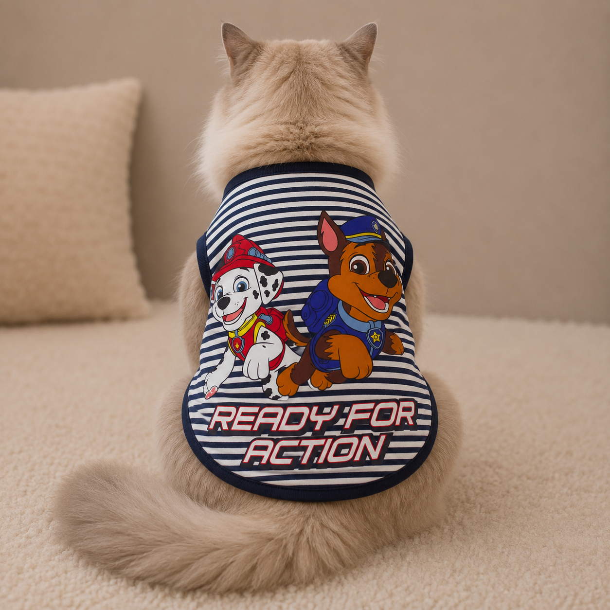 cat t=shirt3.5 kg_img_0