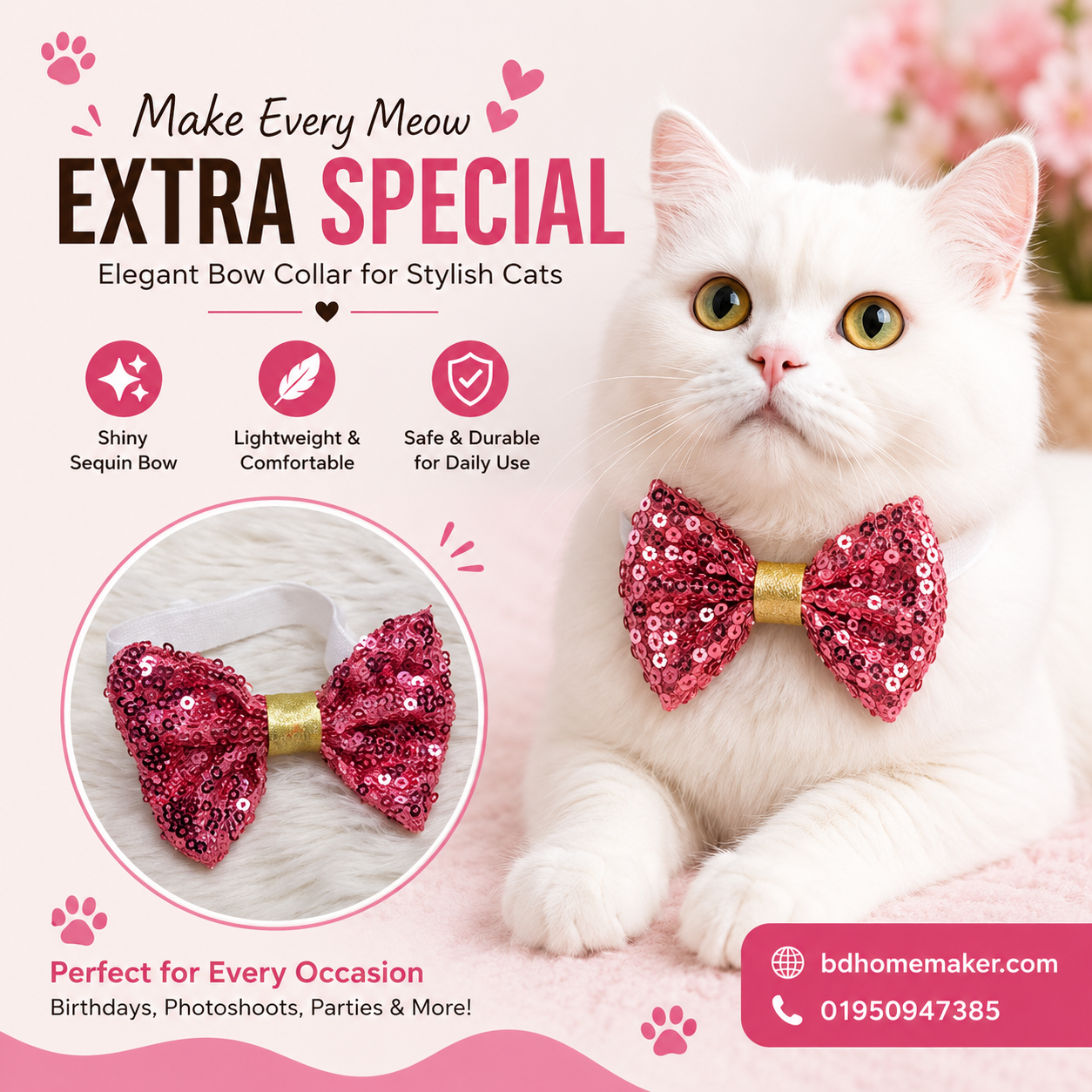 Cat bow_img_0