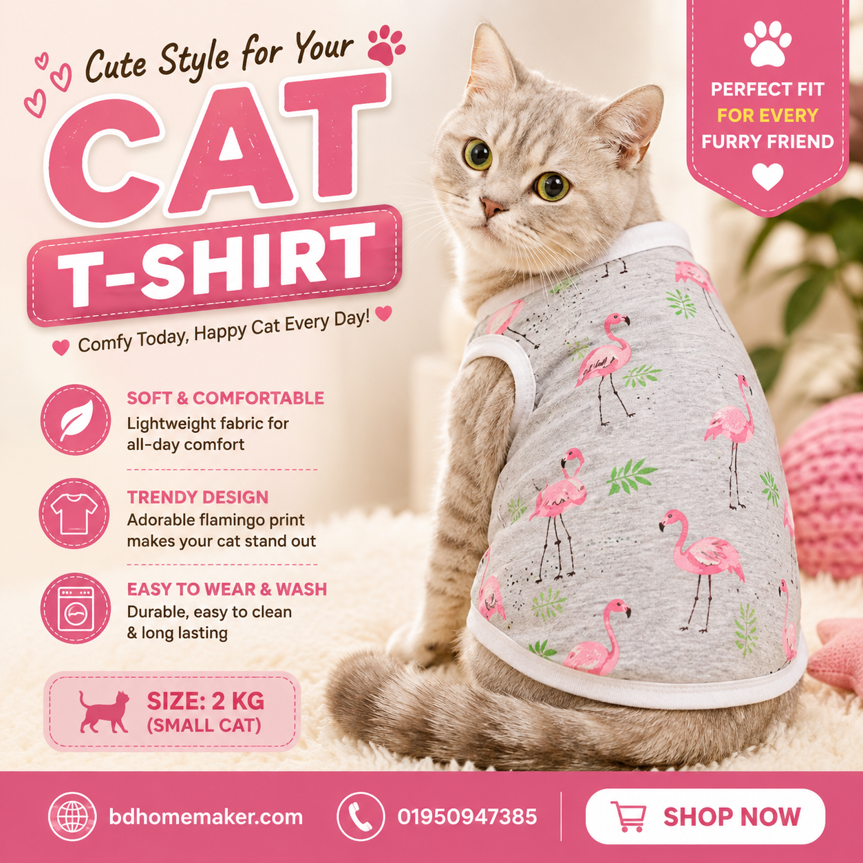 cat t-shirt (2 kg)_img_0